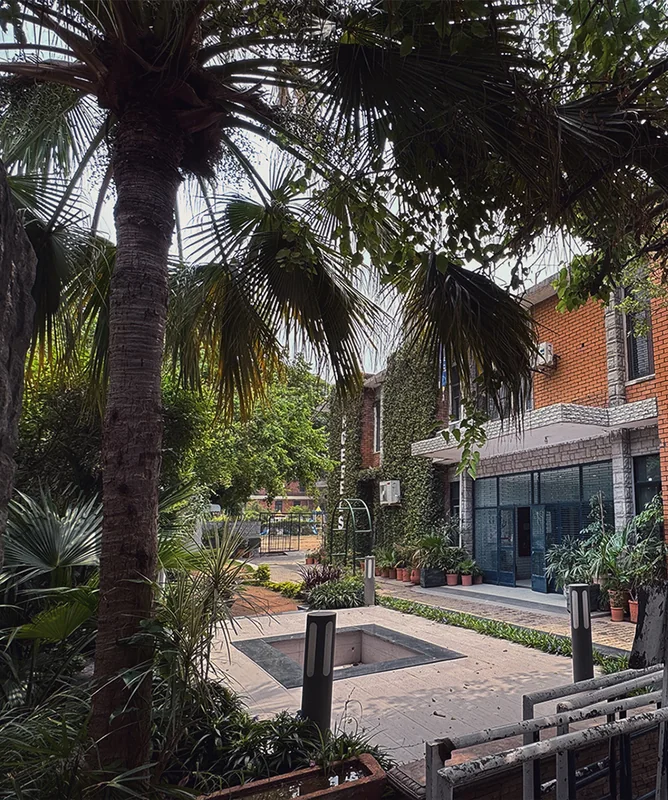 A palm-shaded courtyard and ivy-covered brick building at the F-7 campus.